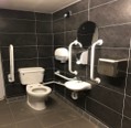 Accessible commercial toilet with grab rails